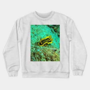 Pumpkin Sea Slug Crewneck Sweatshirt